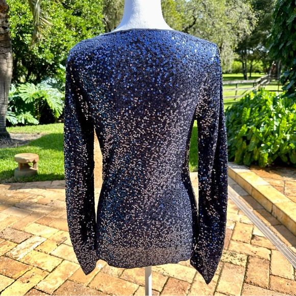 EUC! Boston Proper Silk Cashmere Blue Sequined Top - Picture 3 of 6